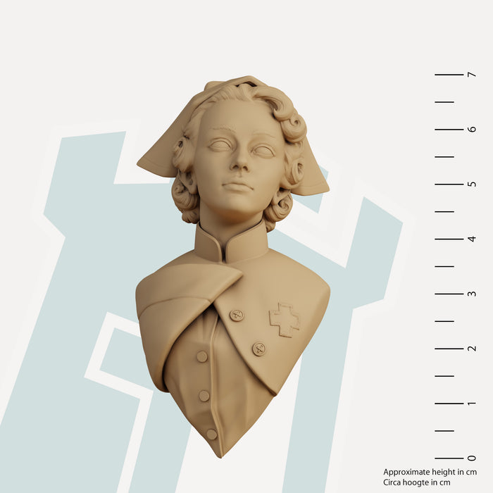 "Nurse" - Academisch