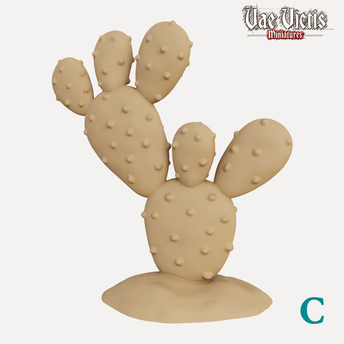 Cactussen (Type A)