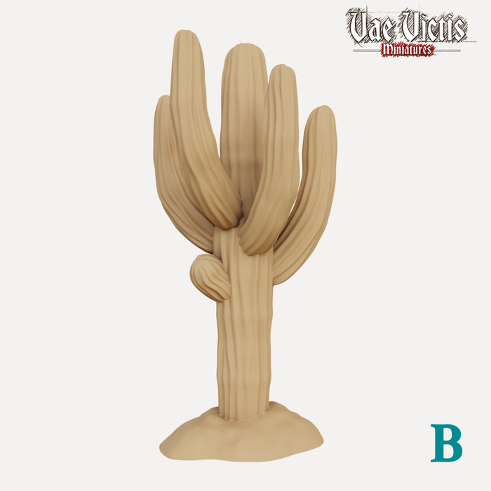 Cactussen (Type B)