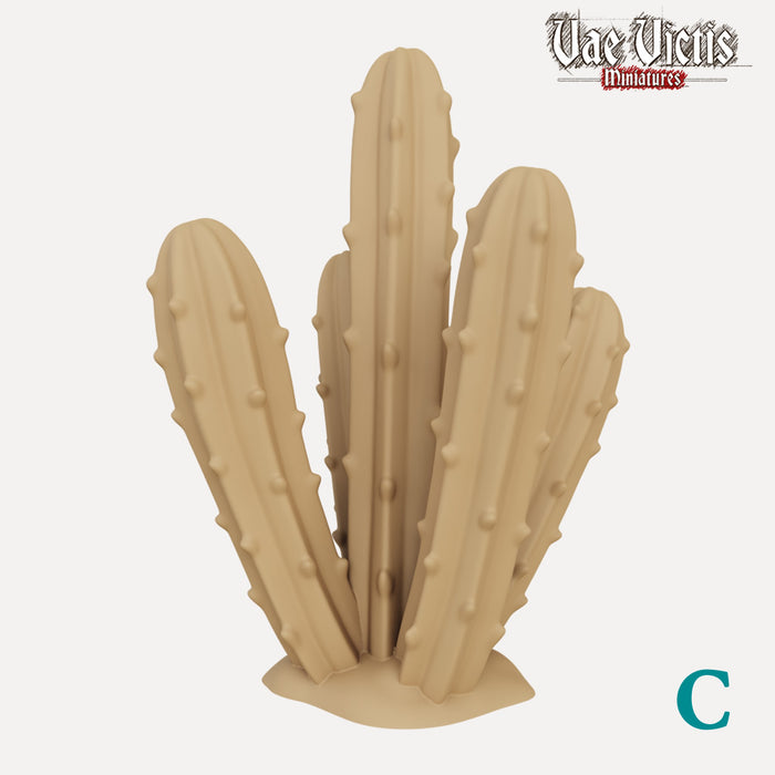 Cactussen (Type C)